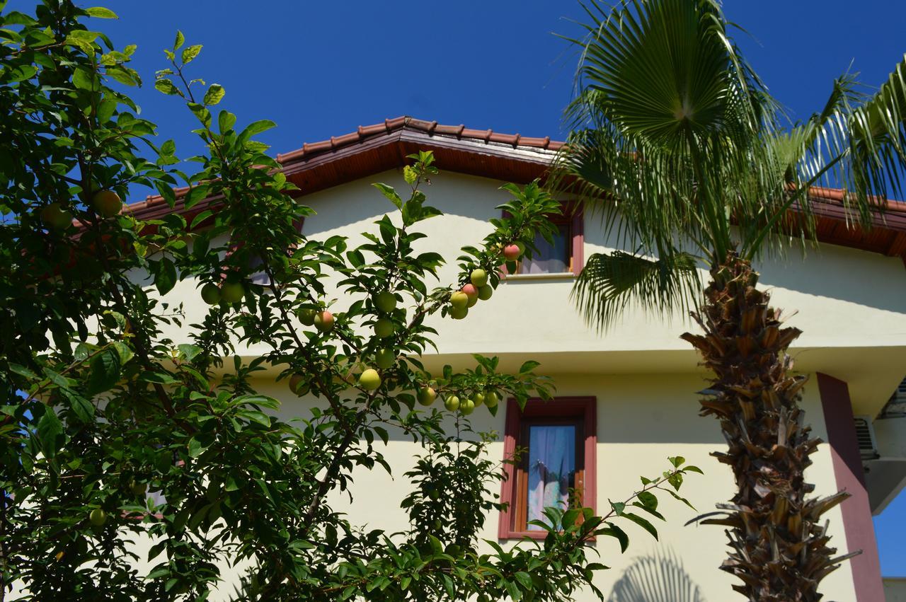 Erasmus Apart Hotel ดาลยัน ภายนอก รูปภาพ